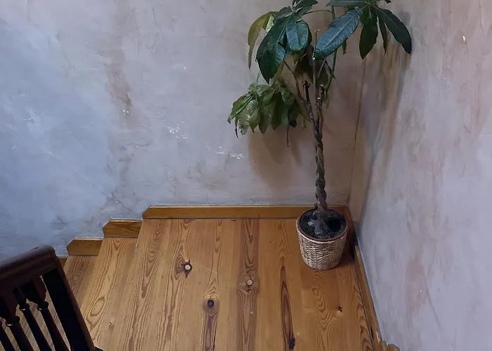 Lägenhet Calera 2 Burgo